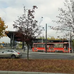 Srebrny samochód i czerwony tramwaj na przystanku, otoczone jesiennymi drzewami. Non stop big single.