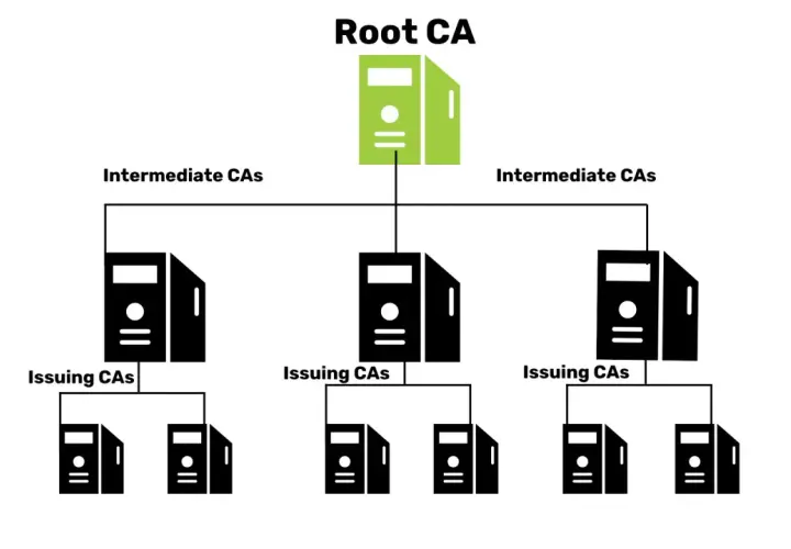 Schemat hierarchii PKI: Root CA, Intermediate CAs i Issuing CAs.