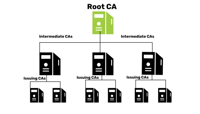 Schemat hierarchii PKI: Root CA, Intermediate CAs i Issuing CAs.