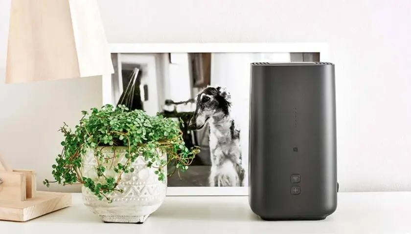 Czarny router 5G/LTE obok doniczki z rośliną i ramki ze zdjęciem psa.